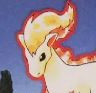 Ponyta