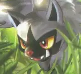 Poochyena
