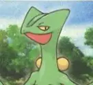 Jungko