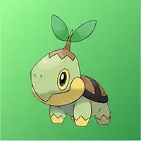 Tortipouss
