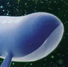 Wailord