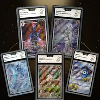 Auction visual on GCC