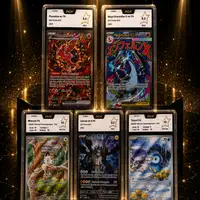 Auction visual on GCC
