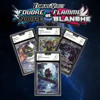 Auction visual on GCC