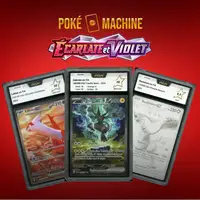Auction visual on GCC