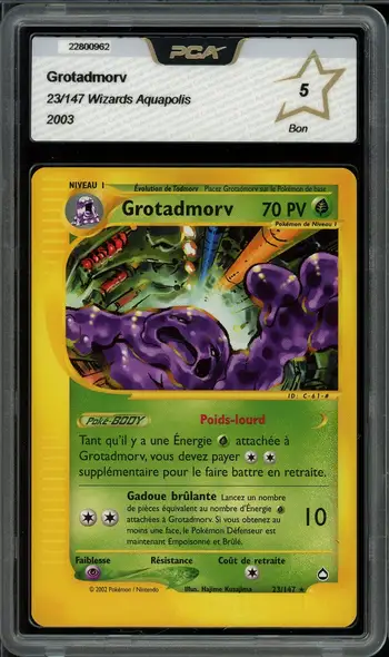 PCA 5 Grotadmorv