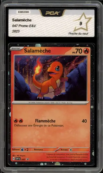 PCA 9 Salamèche