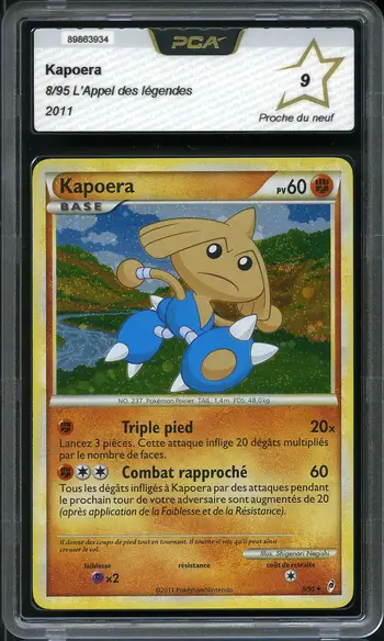 PCA 9 Kapoera Holo