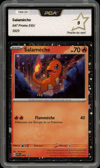 PCA 9 Salamèche