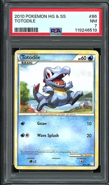 PSA 7 Totodile