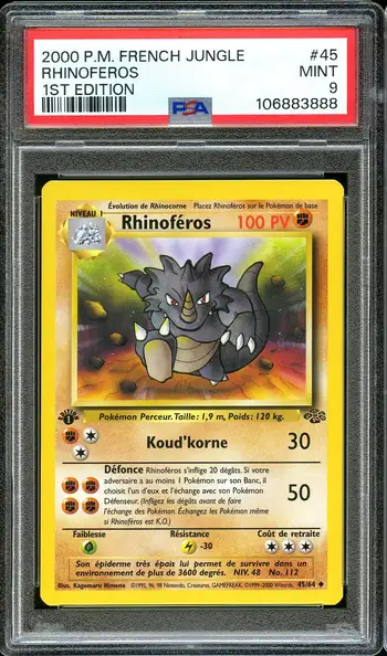 PSA 9 Rhinoféros