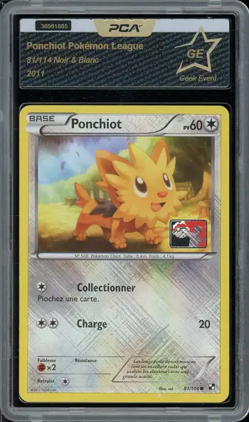 PCA A Ponchiot Pokémon League