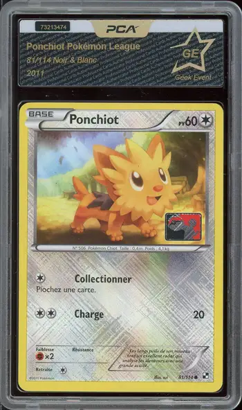 PCA A Ponchiot Pokémon League