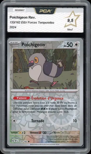 PCA 9.5 Poichigeon Reverse