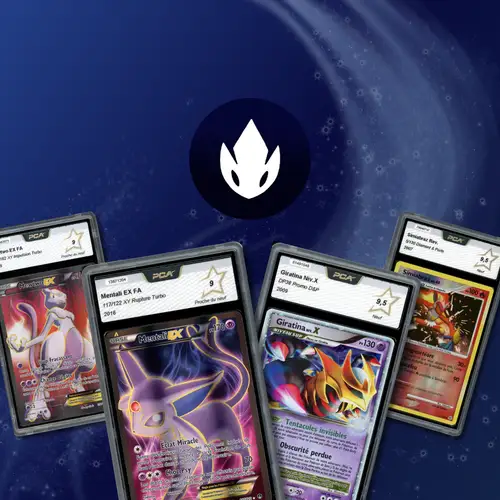 Les pépites DP & XY 🔥