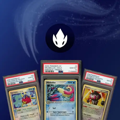 Spécial bloc Ex DP et NB 🔥
