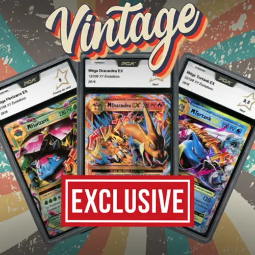 🚨EXCLUSIVITÉ - VINTAGE🚨