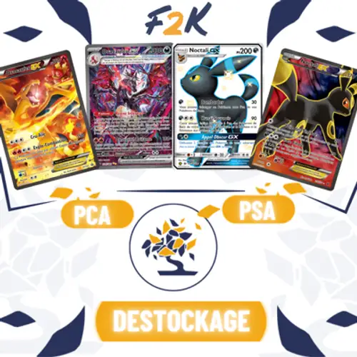 DESTOCKAGE PCA/PSA ! ✨