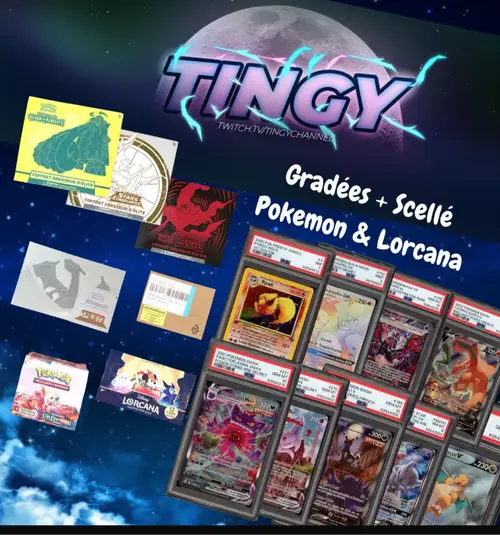 Trésors : Pokemon & Lorcana Gradé & Scellé