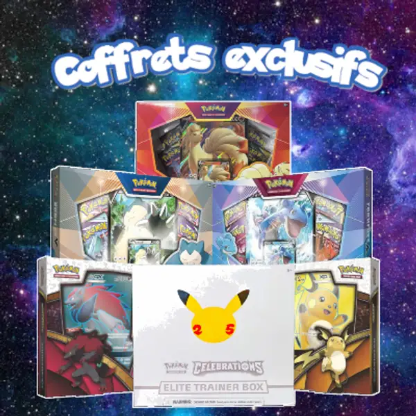 Coffets Exclusifs Epée et Bouclier
