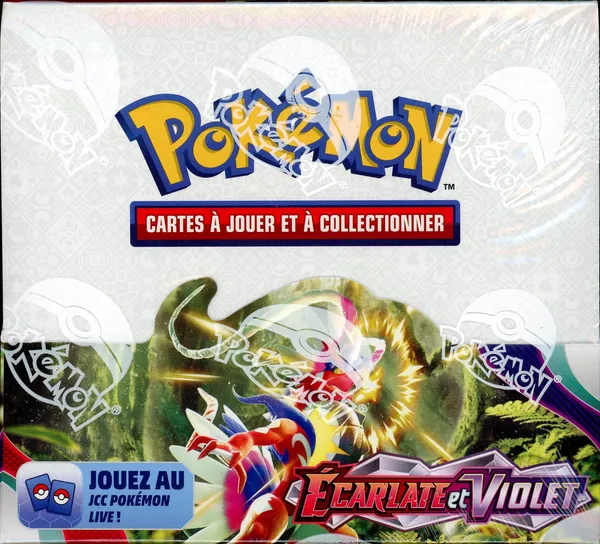 Display EV1 Ecarlate & Violet