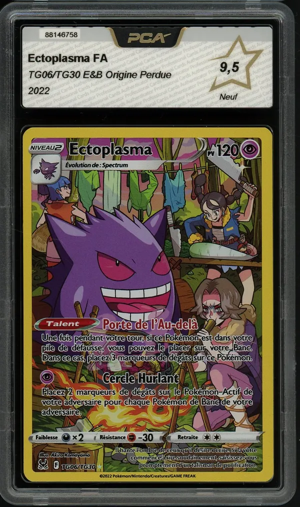 PCA 9.5 Ectoplasma