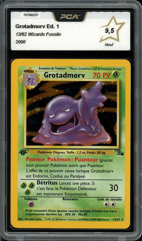 PCA 9.5 Grotadmorv Holo