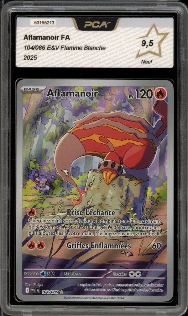PCA 9.5 Aflamanoir