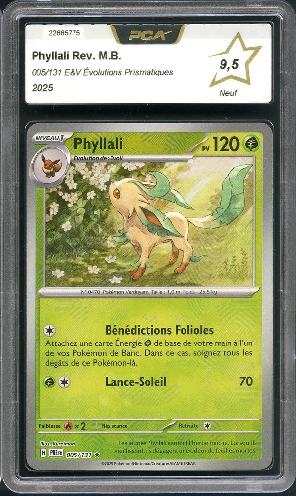 PCA 9.5 Phyllali Reverse Master Ball