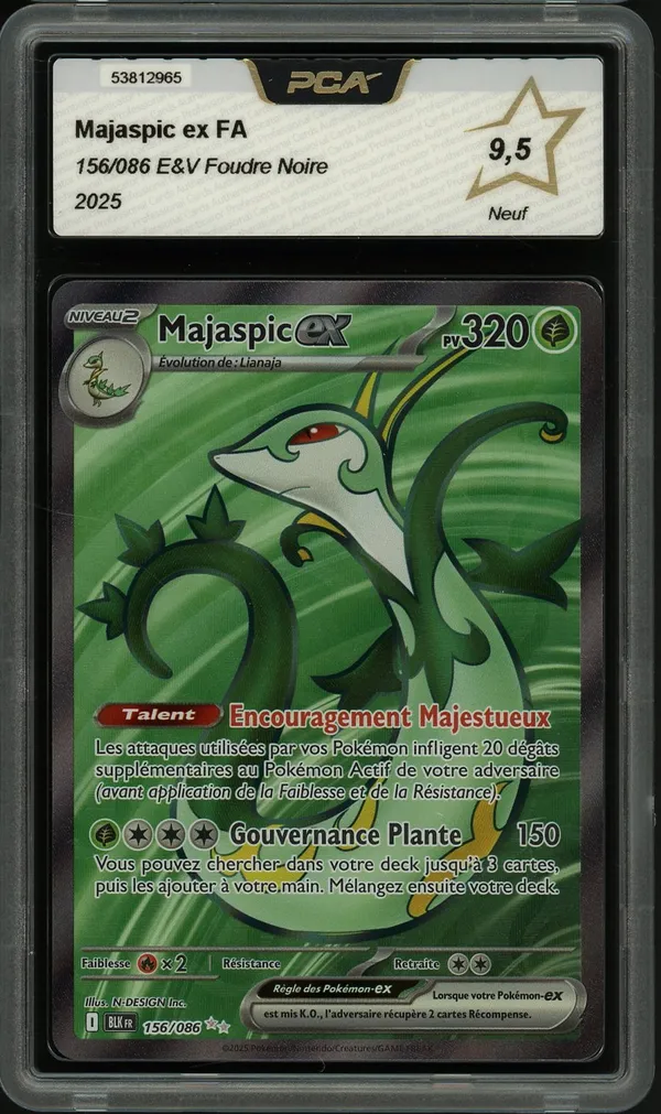 PCA 9.5 Majaspic Ex