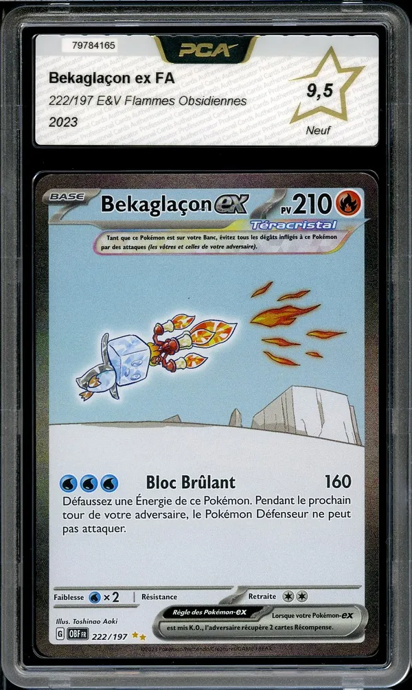 PCA 9.5 Bekaglaçon Ex