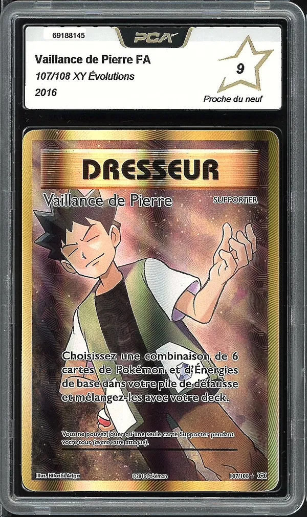 PCA 9 Vaillance de Pierre