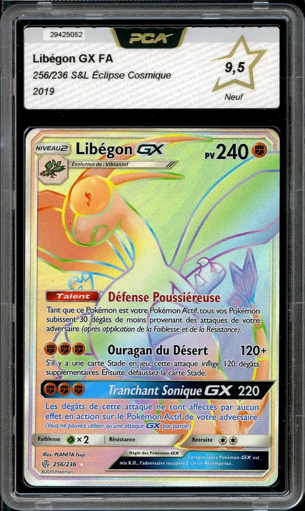 PCA 9.5 Libégon Gx Rainbow