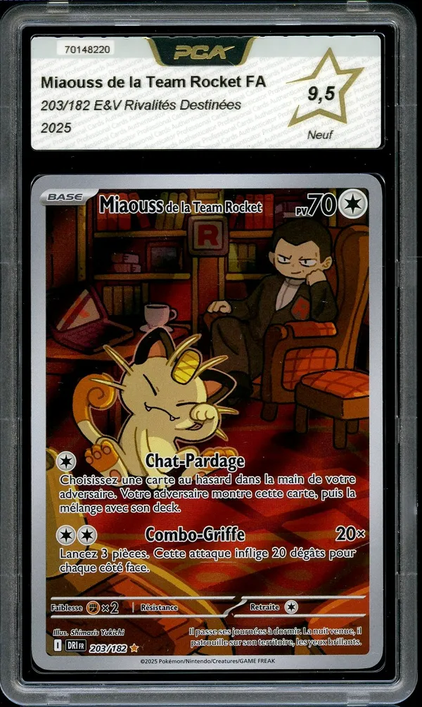 PCA 9.5 Miaouss de la Team Rocket