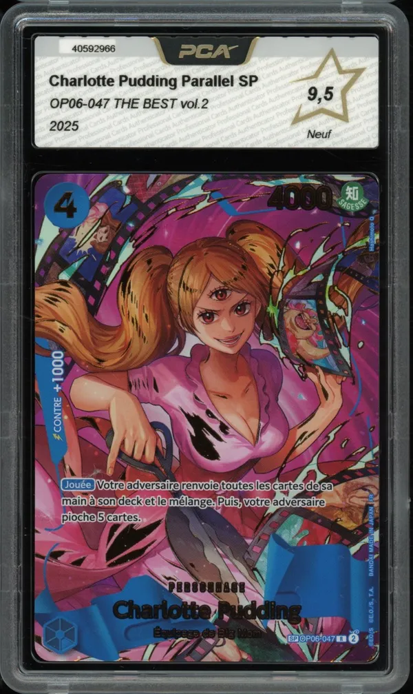 PCA 9.5 Charlotte Pudding