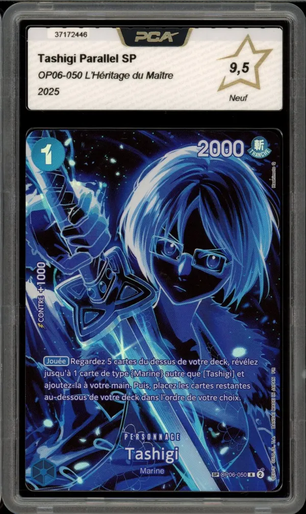 PCA 9.5 Tashigi