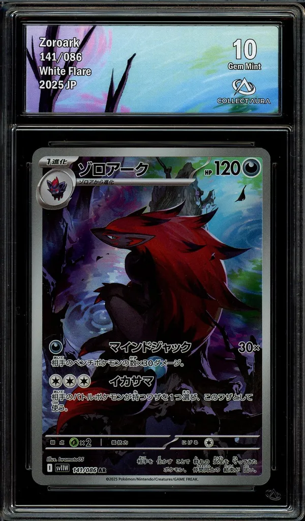 CA 10 Zoroark