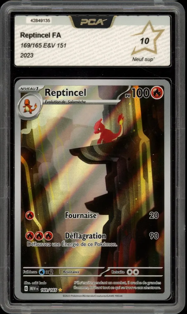 PCA 10 Reptincel