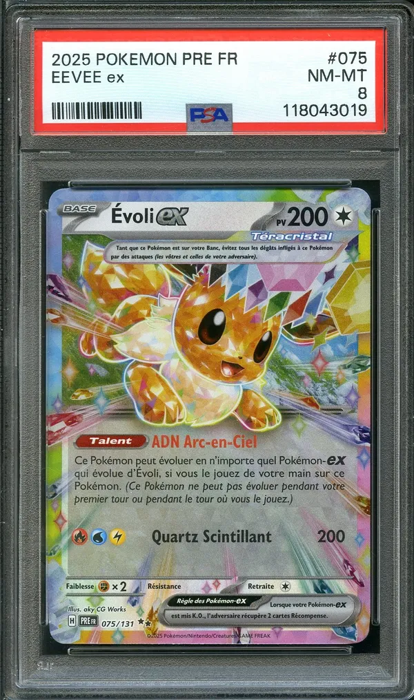 PSA 8 Évoli Ex