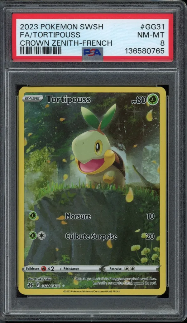 PSA 8 Tortipouss