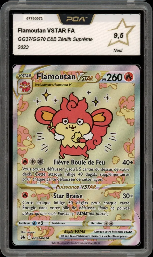 PCA 9.5 Flamoutan VStar