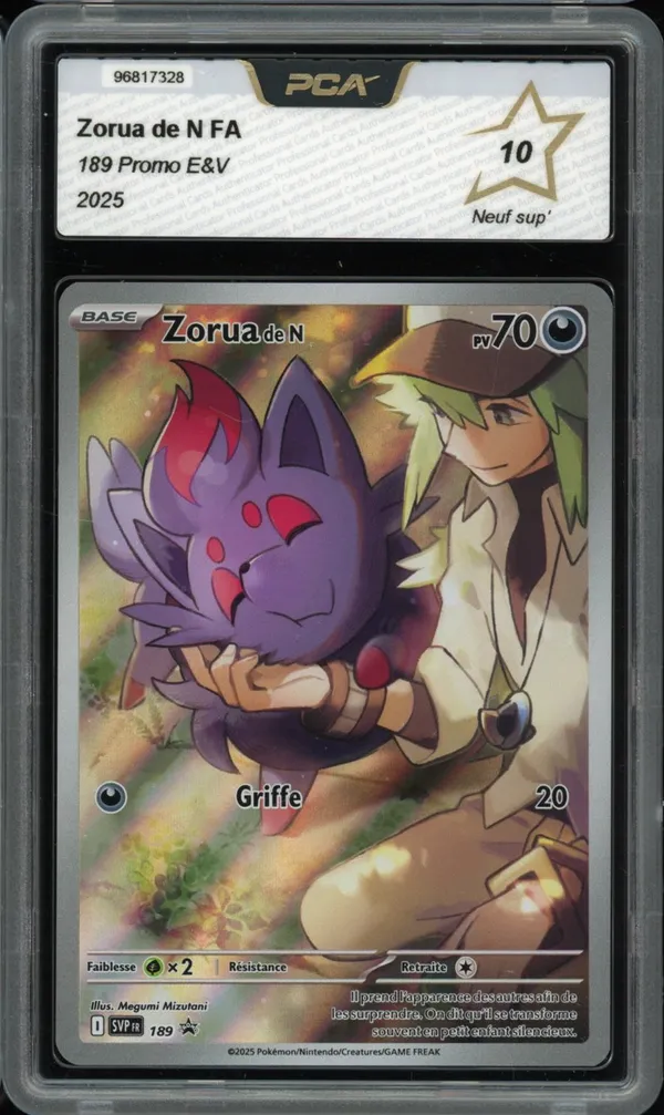 PCA 10 Zorua de N