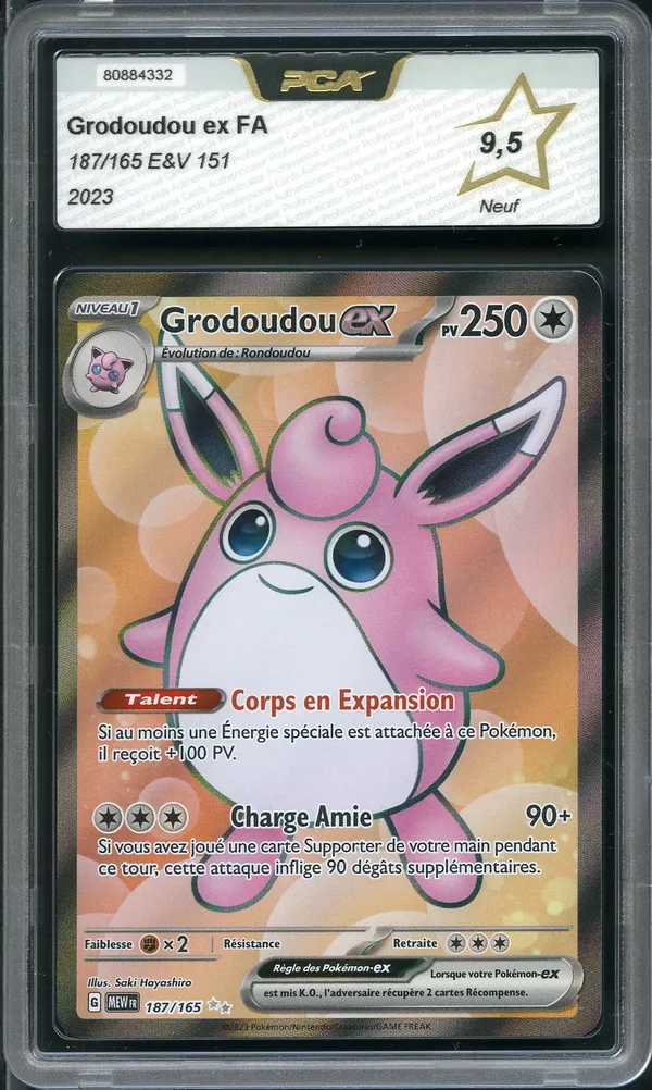 PCA 9.5 Grodoudou Ex