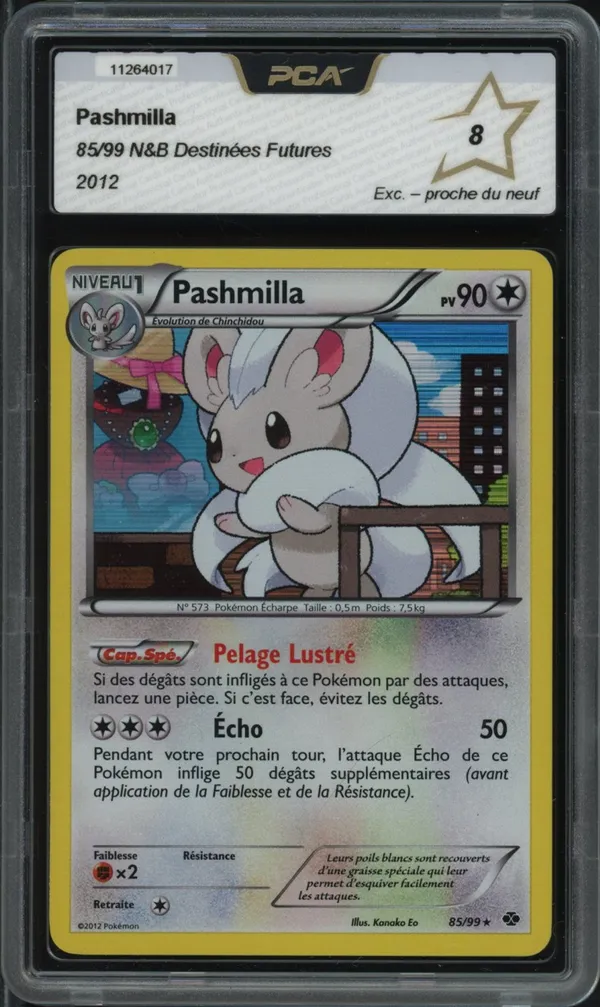 PCA 8 Pashmilla Holo