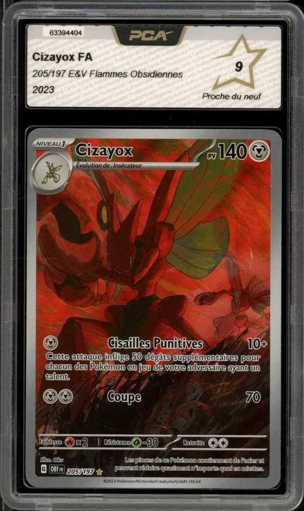 PCA 9 Cizayox