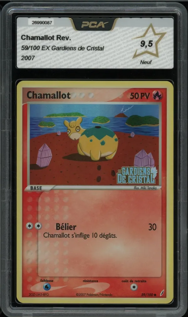 PCA 9.5 Chamallot Reverse