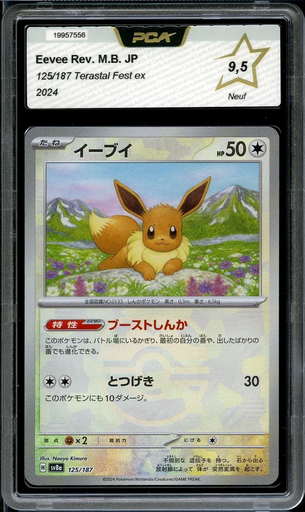 PCA 9.5 Eevee Reverse Masterball