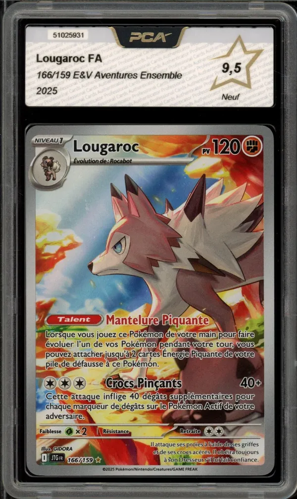 PCA 9.5 Lougaroc