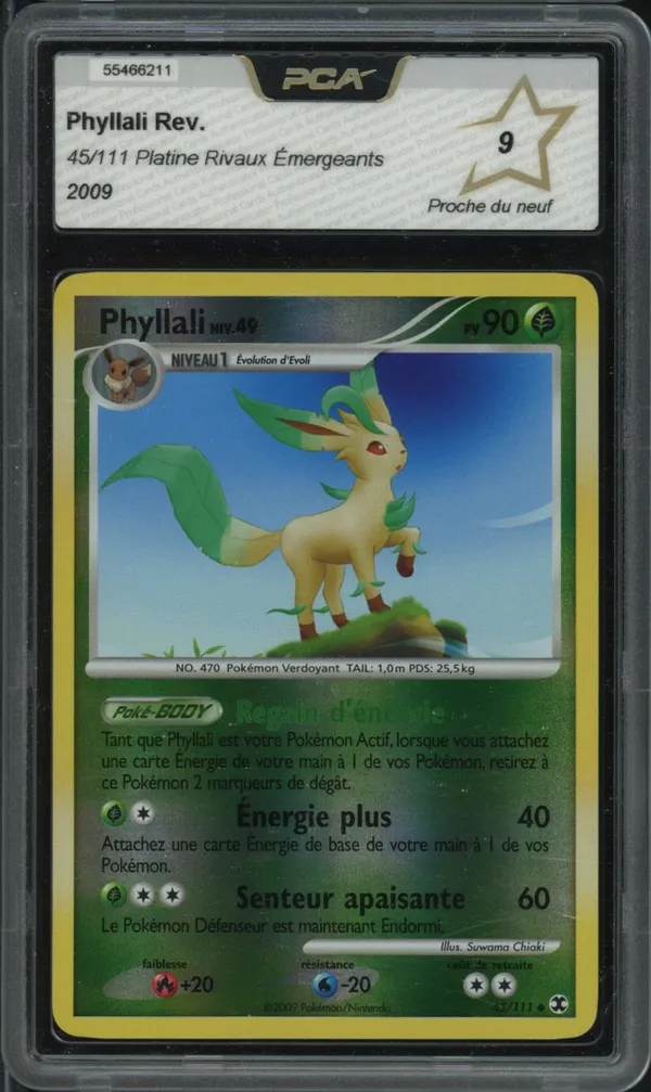 PCA 9 Phyllali Reverse