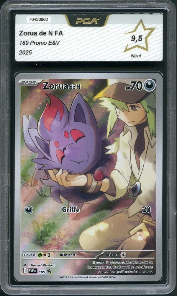 PCA 9.5 Zorua de N